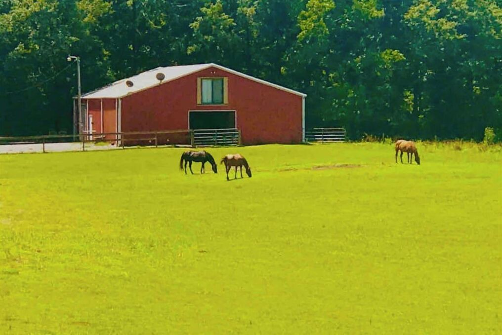 Photo of Others in Hollywood