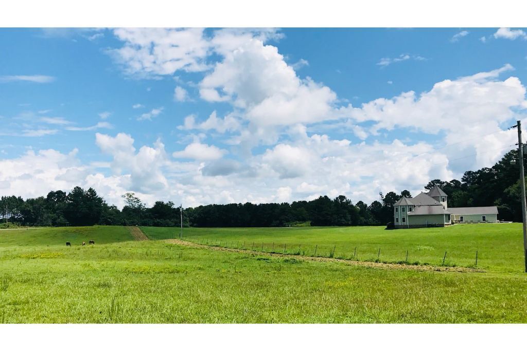 Photo of Others in Hollywood