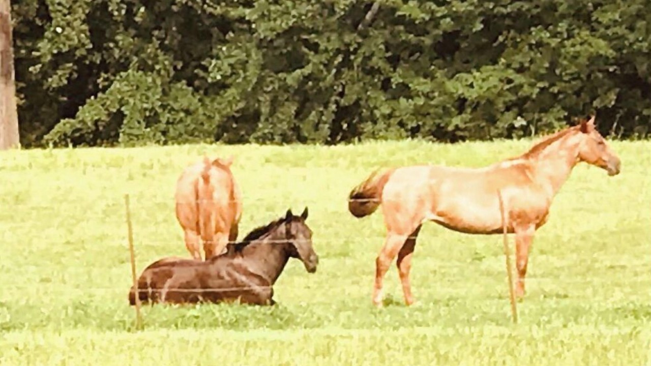 Photo of Outdoor in Hollywood