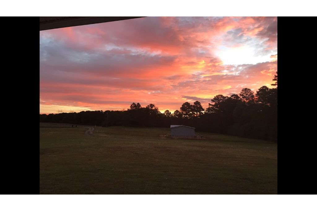 Photo of Others in Hollywood