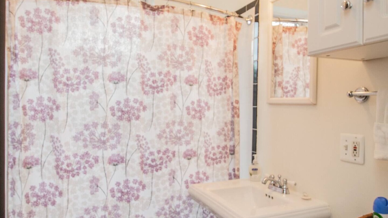 Photo of Bathroom in Cleveland Circle