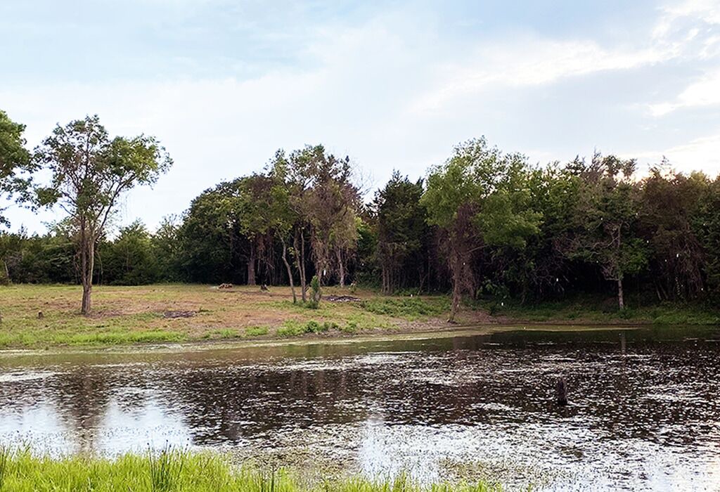 Photo of Others in Wills Point