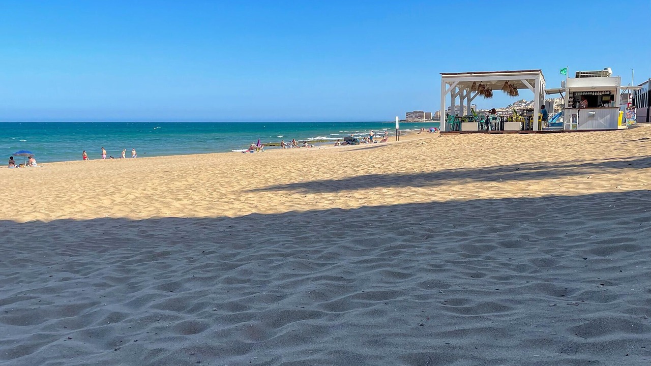 Photo of Others in La Siesta