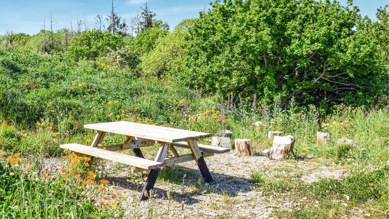 Photo of Outdoor in Plouezec