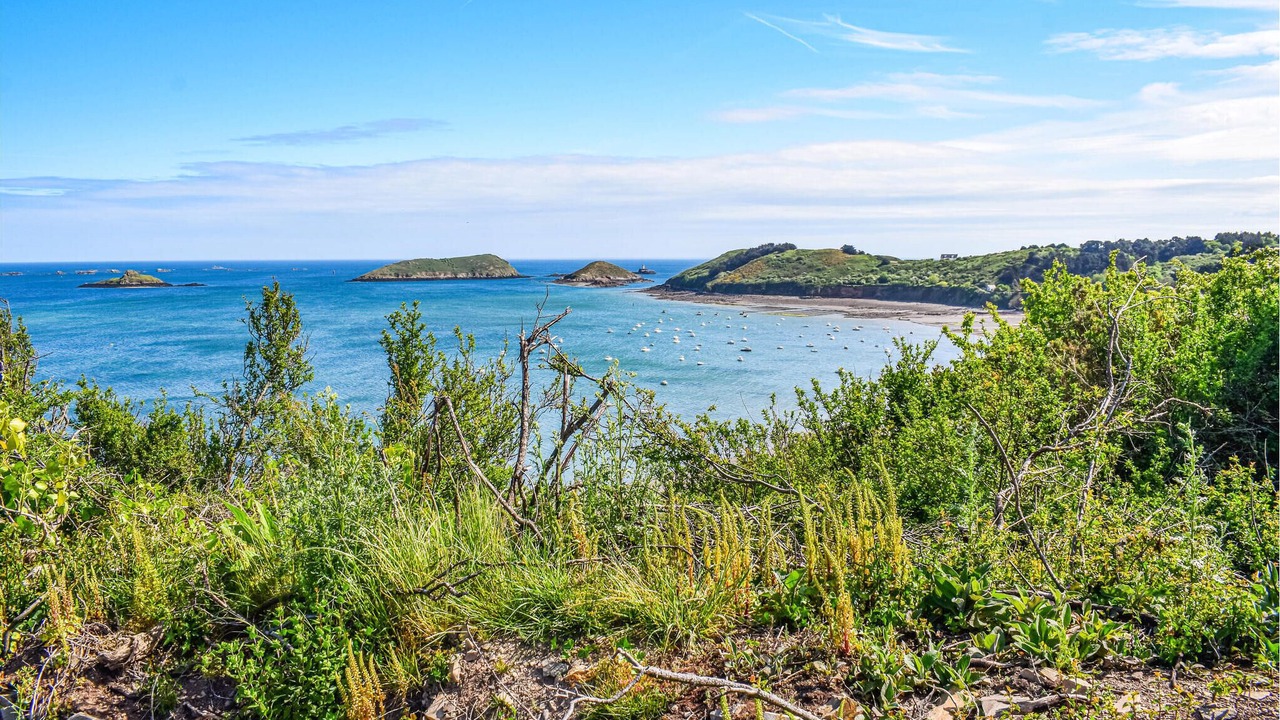 Photo of Bedroom in Plouezec