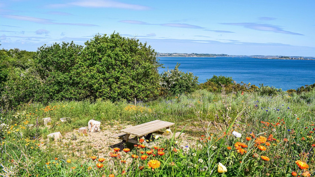 Photo of Bedroom in Plouezec