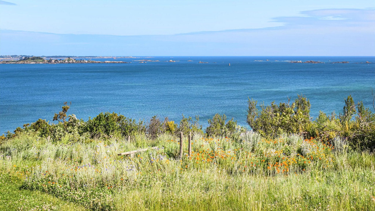 Photo of Bedroom in Plouezec