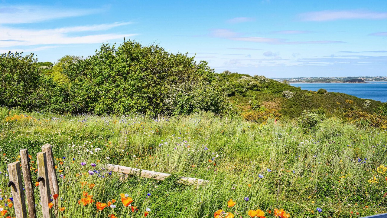 Photo of Others in Plouezec