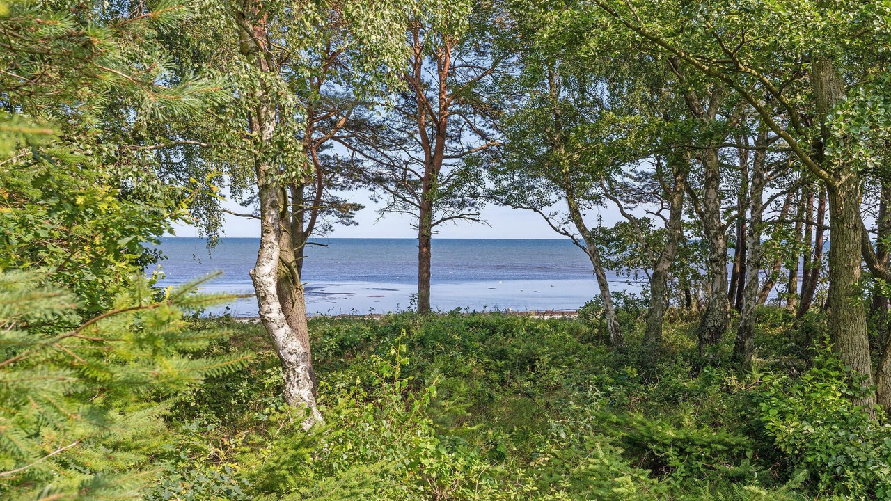 Photo of Others in Bedegaard