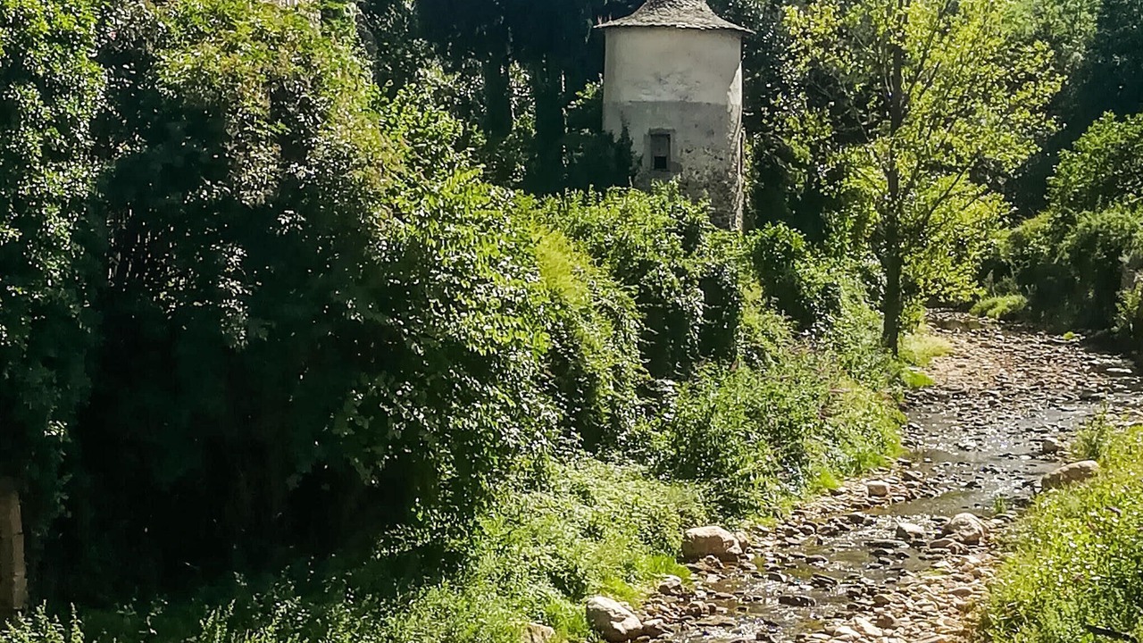 Photo of Others in St Gervais sur Mare