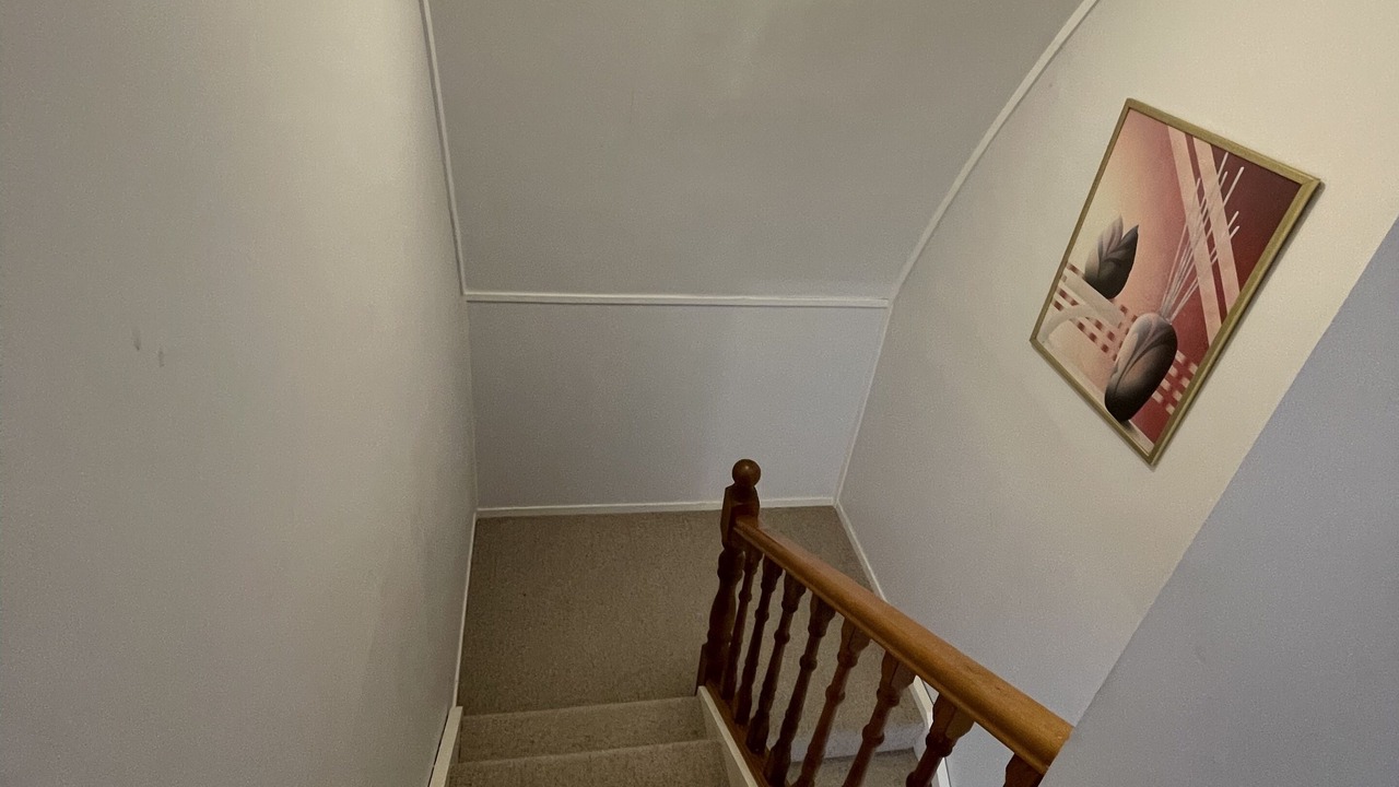 Photo of Others in Te Kaha