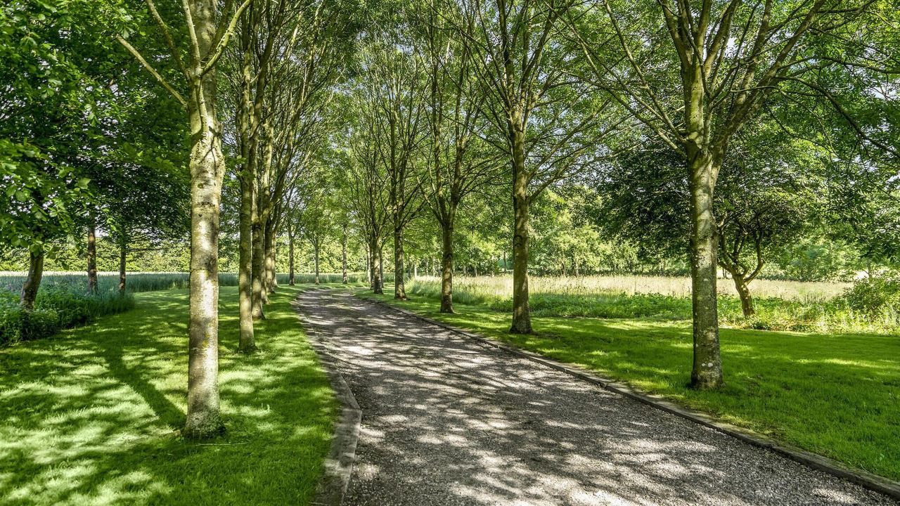 Photo of Others in Skjern