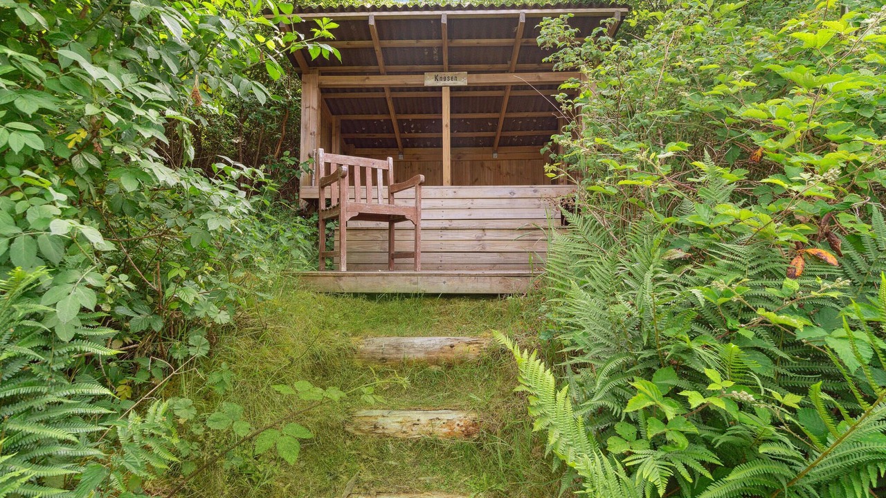 Photo of Others in Femmøller