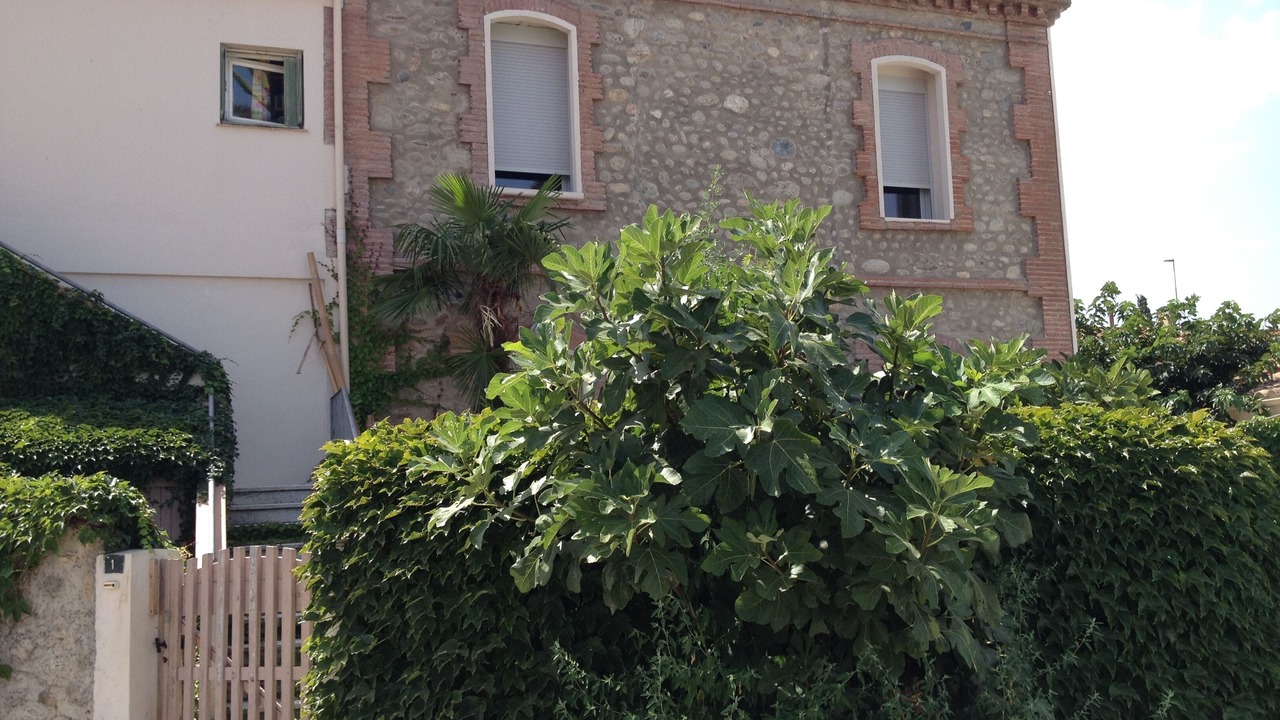 Photo of Outdoor in Villemolaque