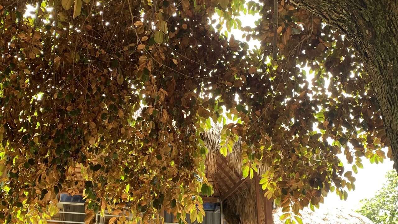 Photo of Outdoor in La Mata