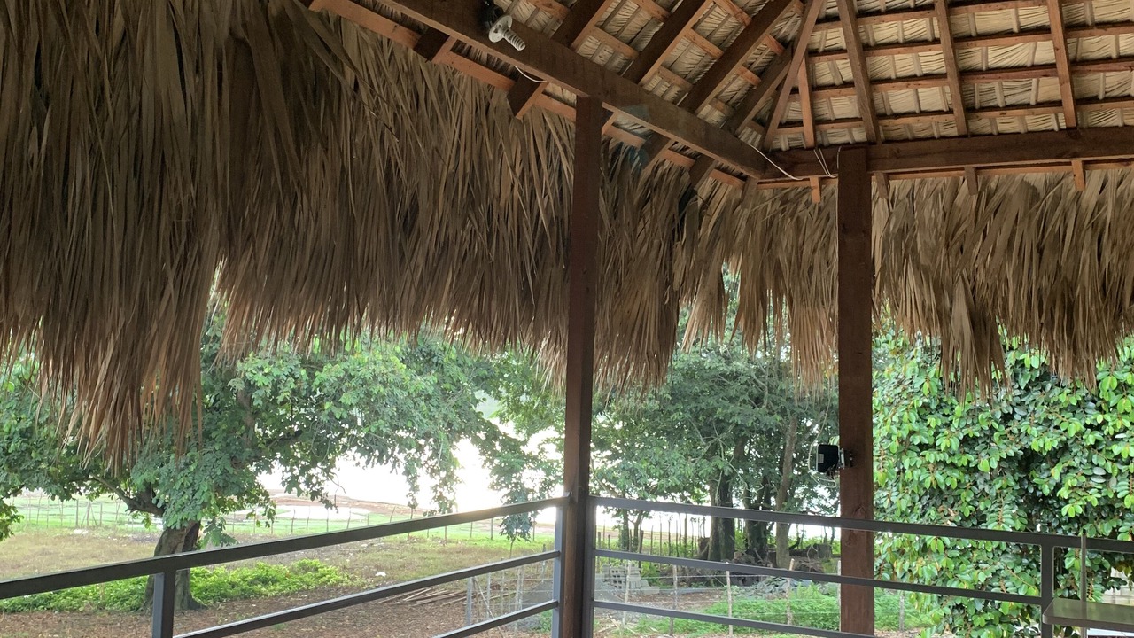 Photo of Patio Balcony in La Mata