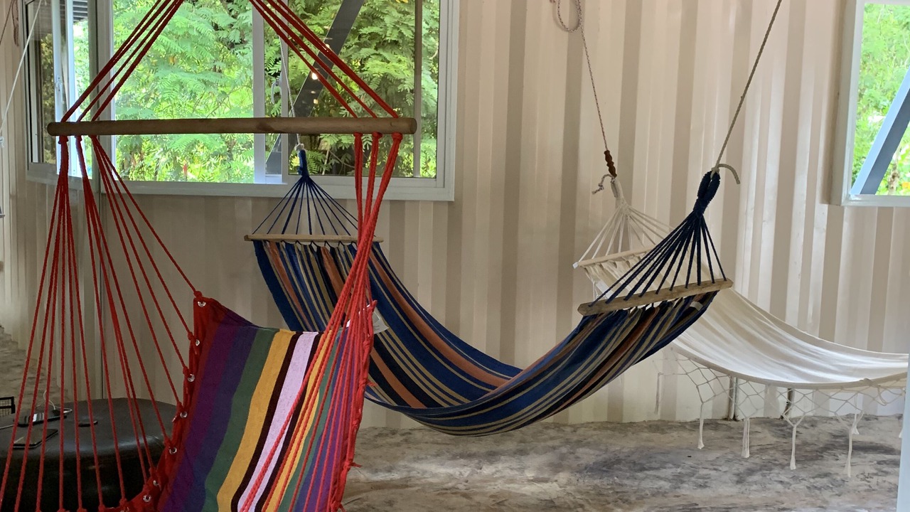 Photo of Others in La Mata