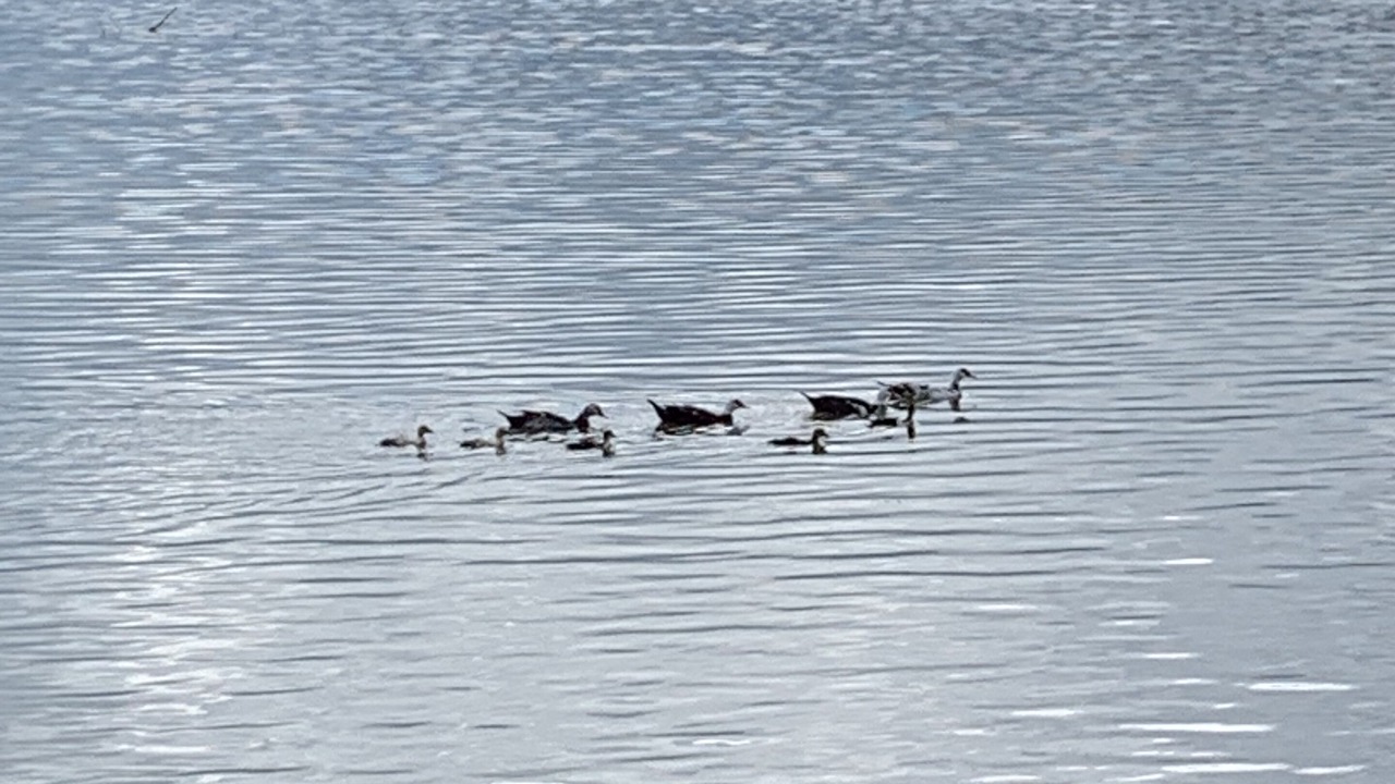 Photo of Others in La Mata