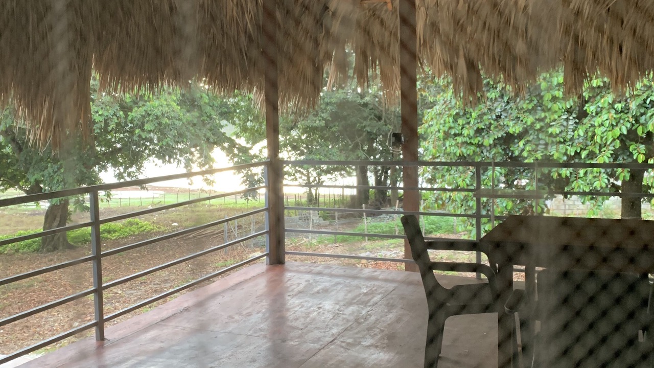 Photo of Patio Balcony in La Mata