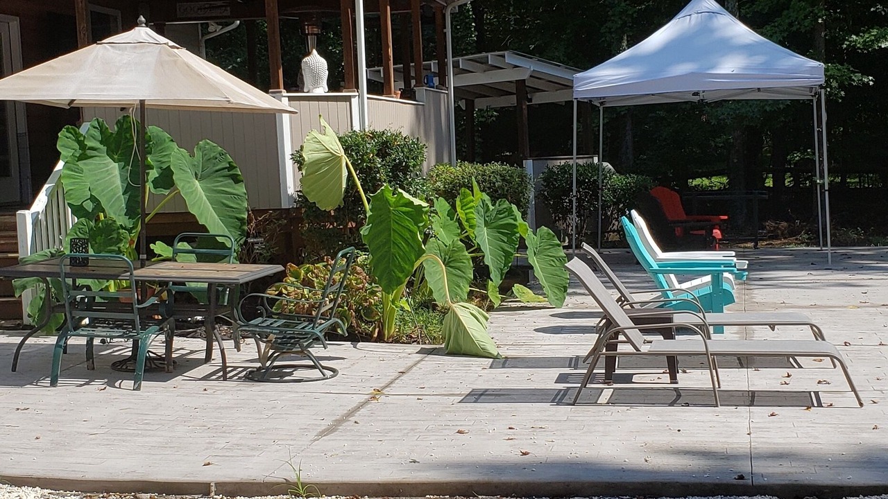 Photo of Outdoor in Mint Hill