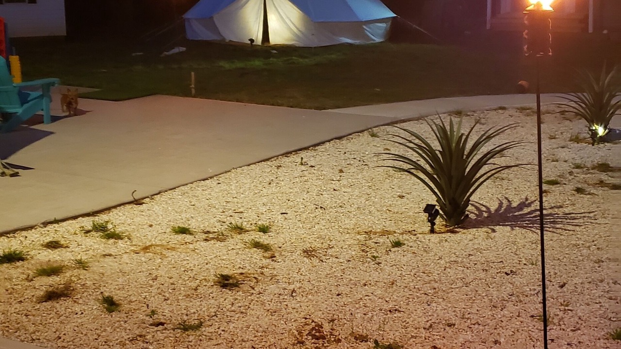 Photo of Outdoor in Mint Hill