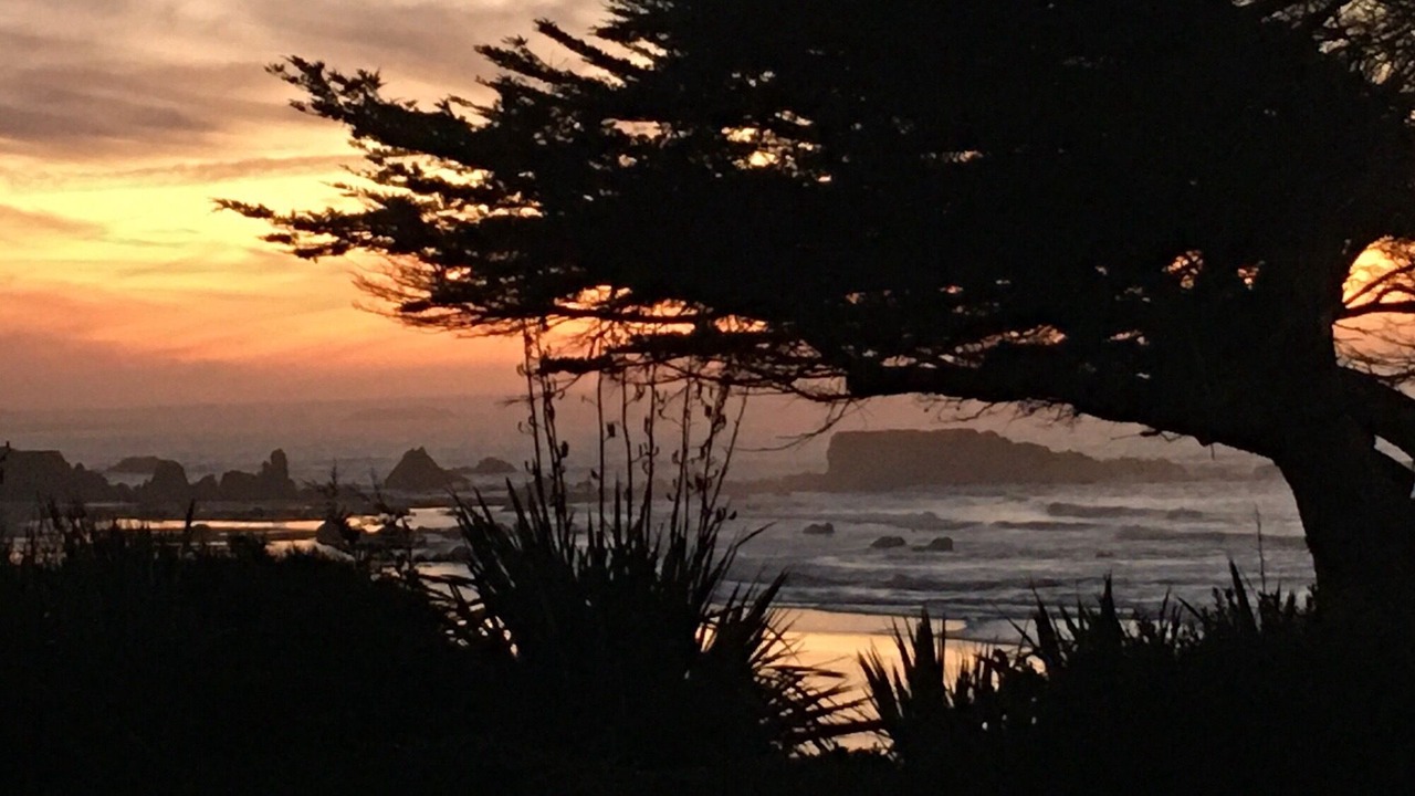 Photo of Others in Gold Beach