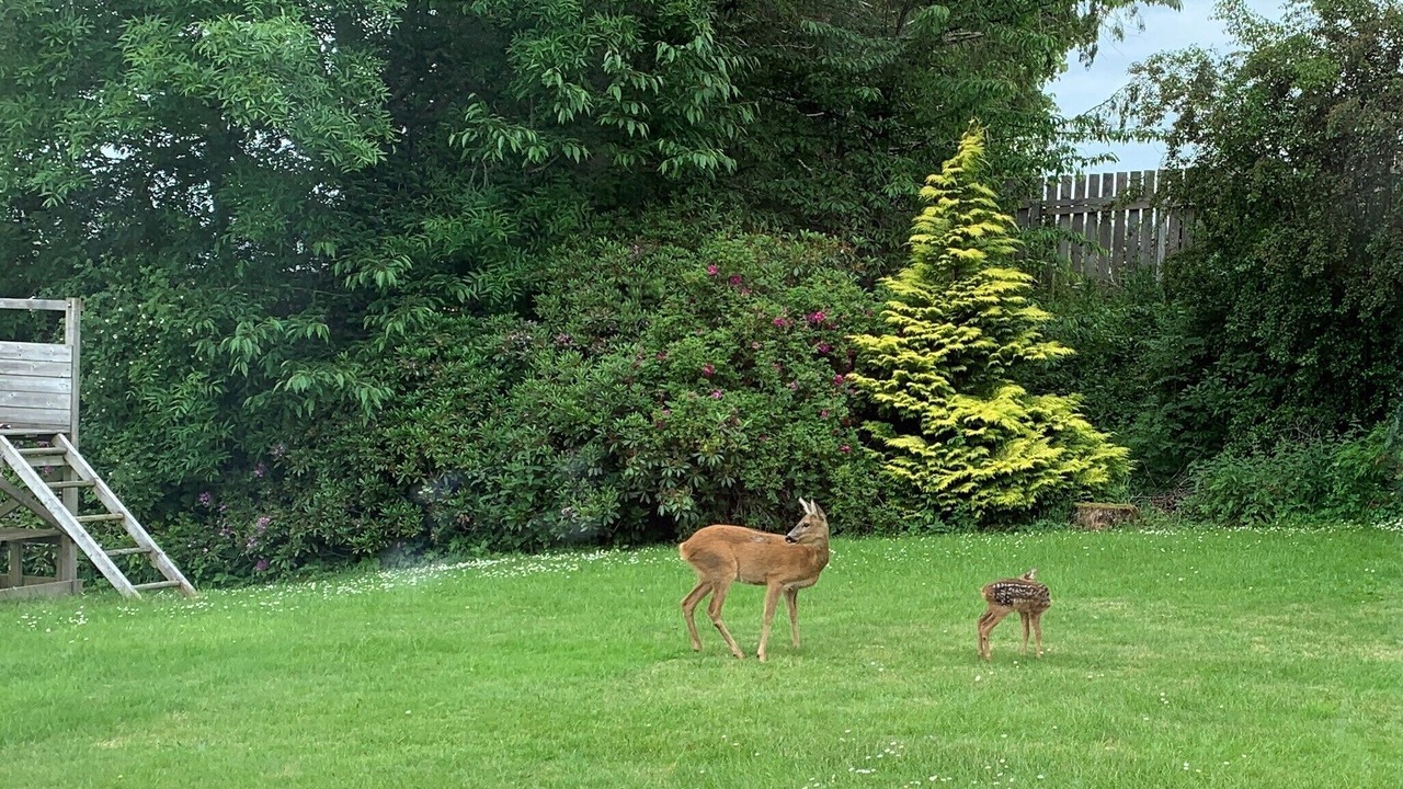 Photo of Outdoor in Balloch