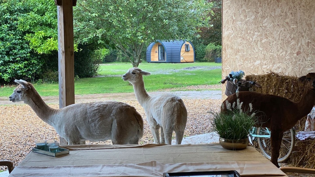 Photo of Outdoor in Sittingbourne