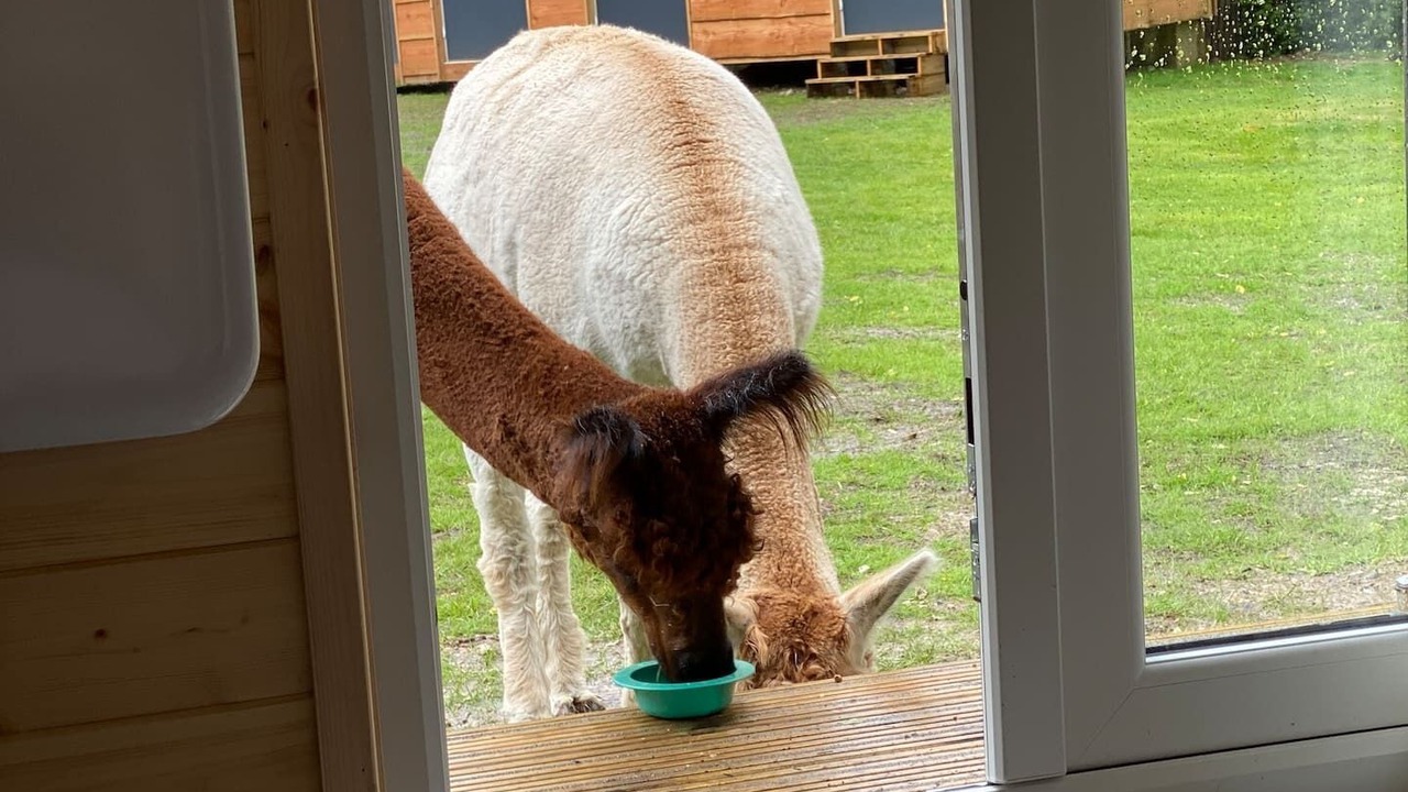 Photo of Others in Sittingbourne