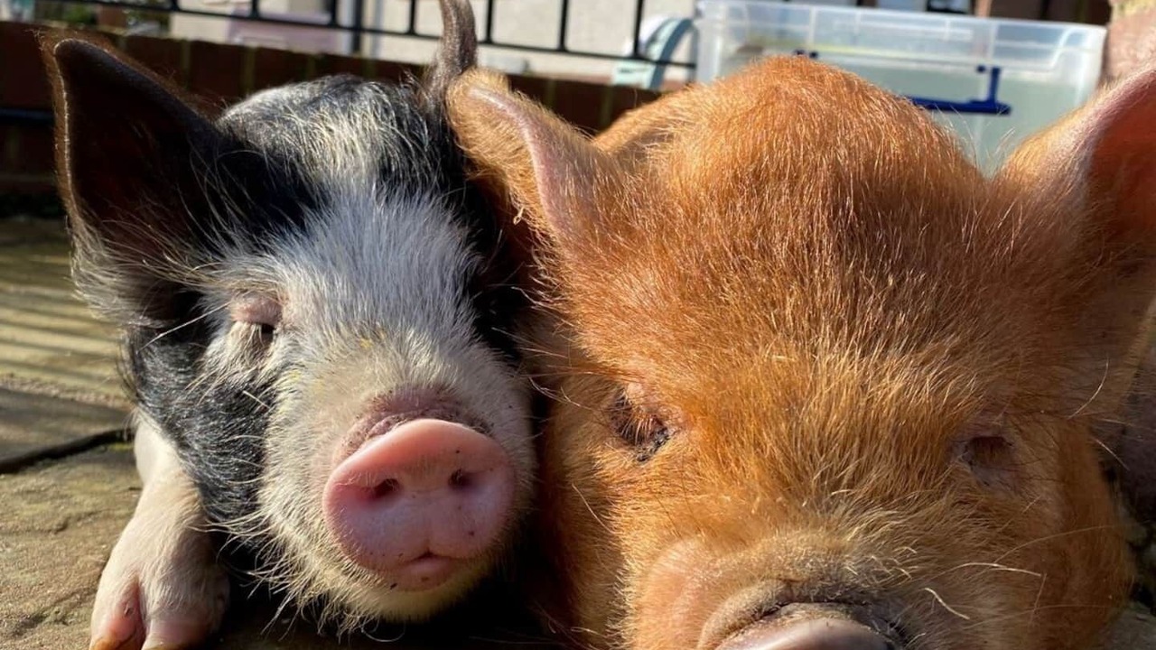 Photo of Others in Sittingbourne