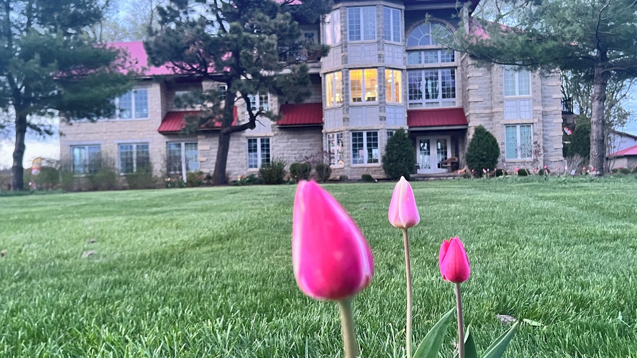 Photo of Outdoor in Bryant