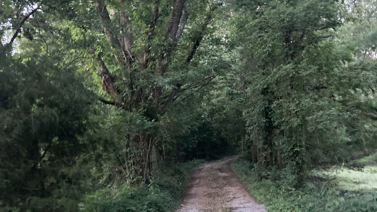 Photo of Outdoor in Shaw