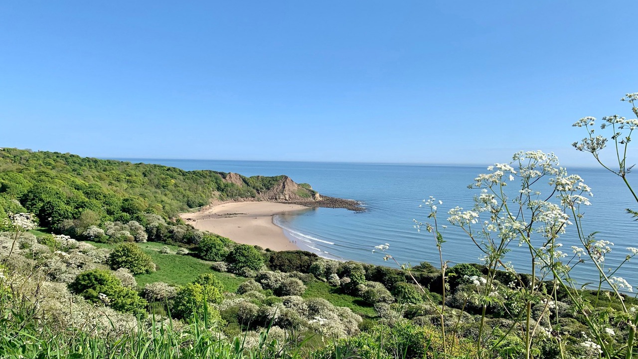 Photo of Others in Cayton Bay