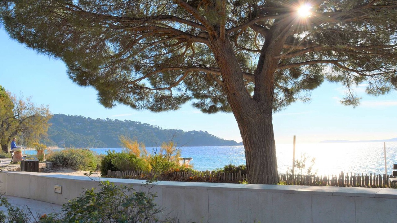 Photo of Outdoor in Cavaliere Beach