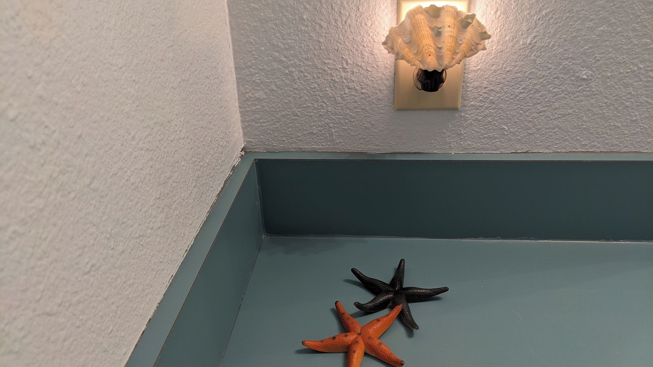 Photo of Others in Grayland