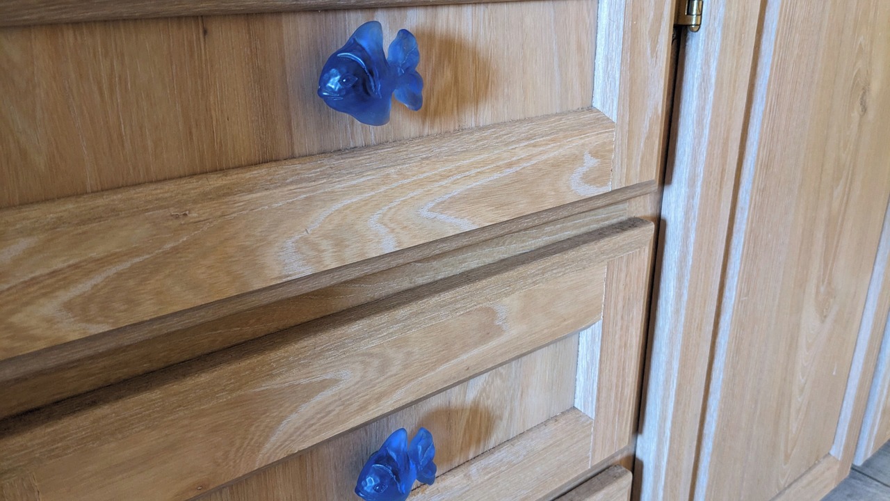 Photo of Others in Grayland