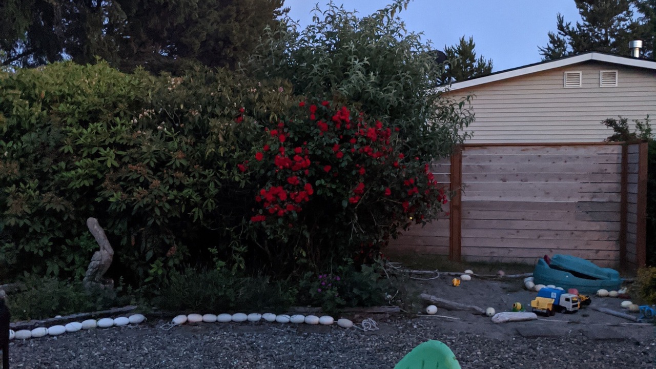 Photo of Others in Grayland