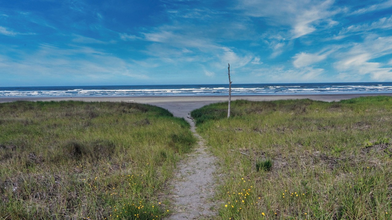 Photo of Others in Grayland