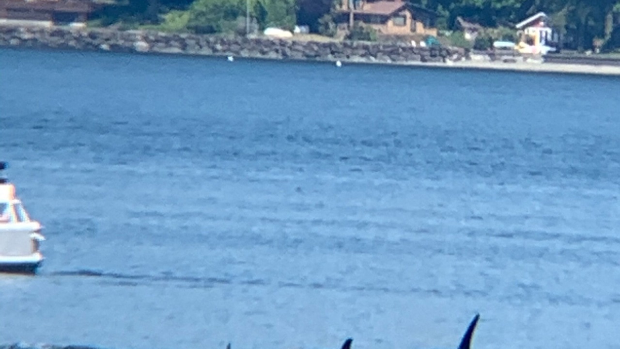 Photo of Others in Gig Harbor