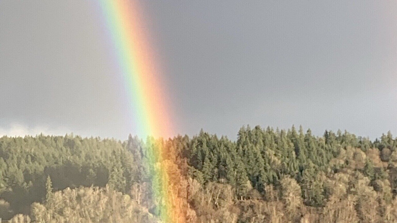 Photo of Others in Gig Harbor