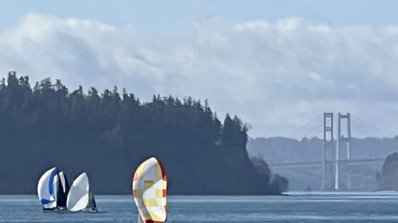 Photo of Others in Gig Harbor