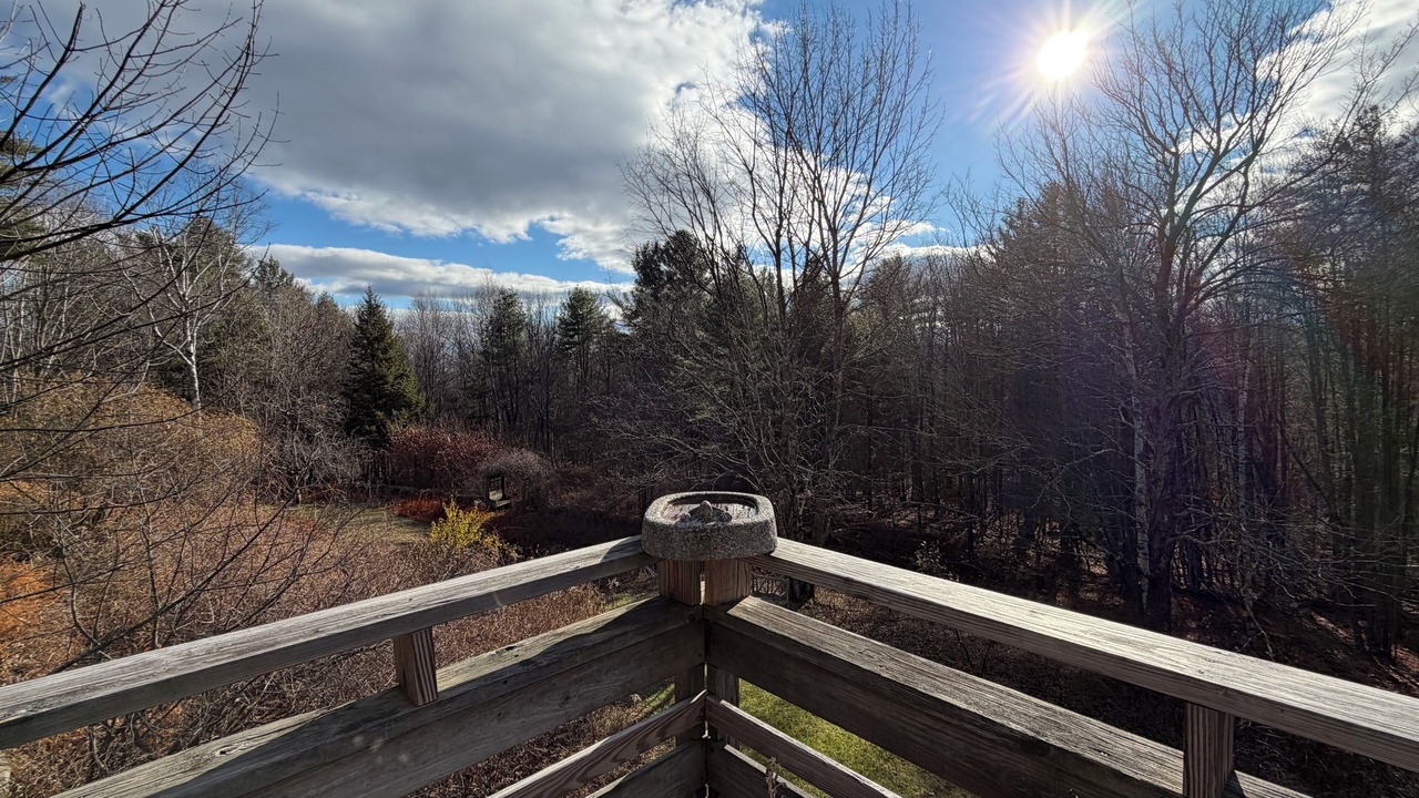 Photo of Outdoor in Brookline