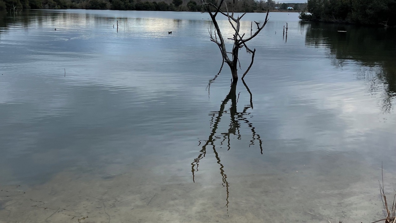 Photo of Others in New Bern