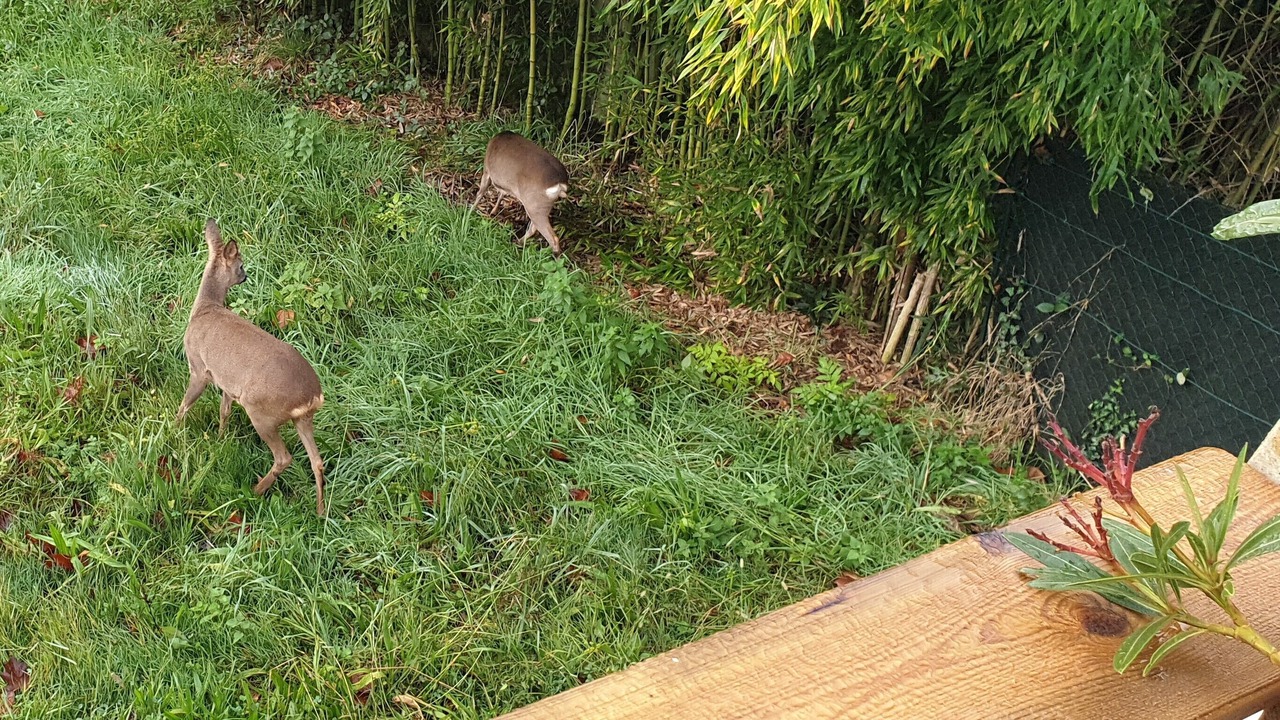 Photo of Outdoor in Boucau