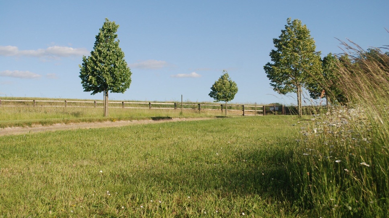 Photo of Outdoor in Saumur