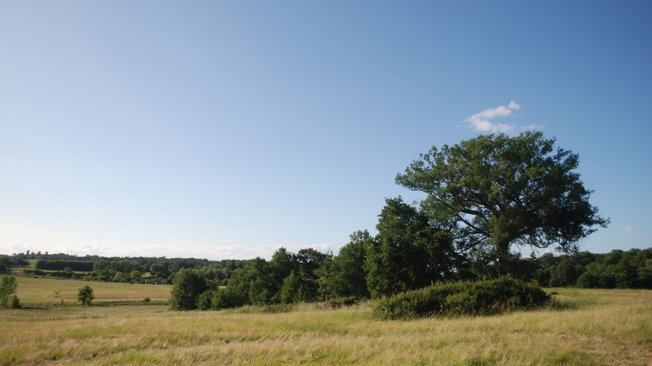 Photo of Others in Saumur