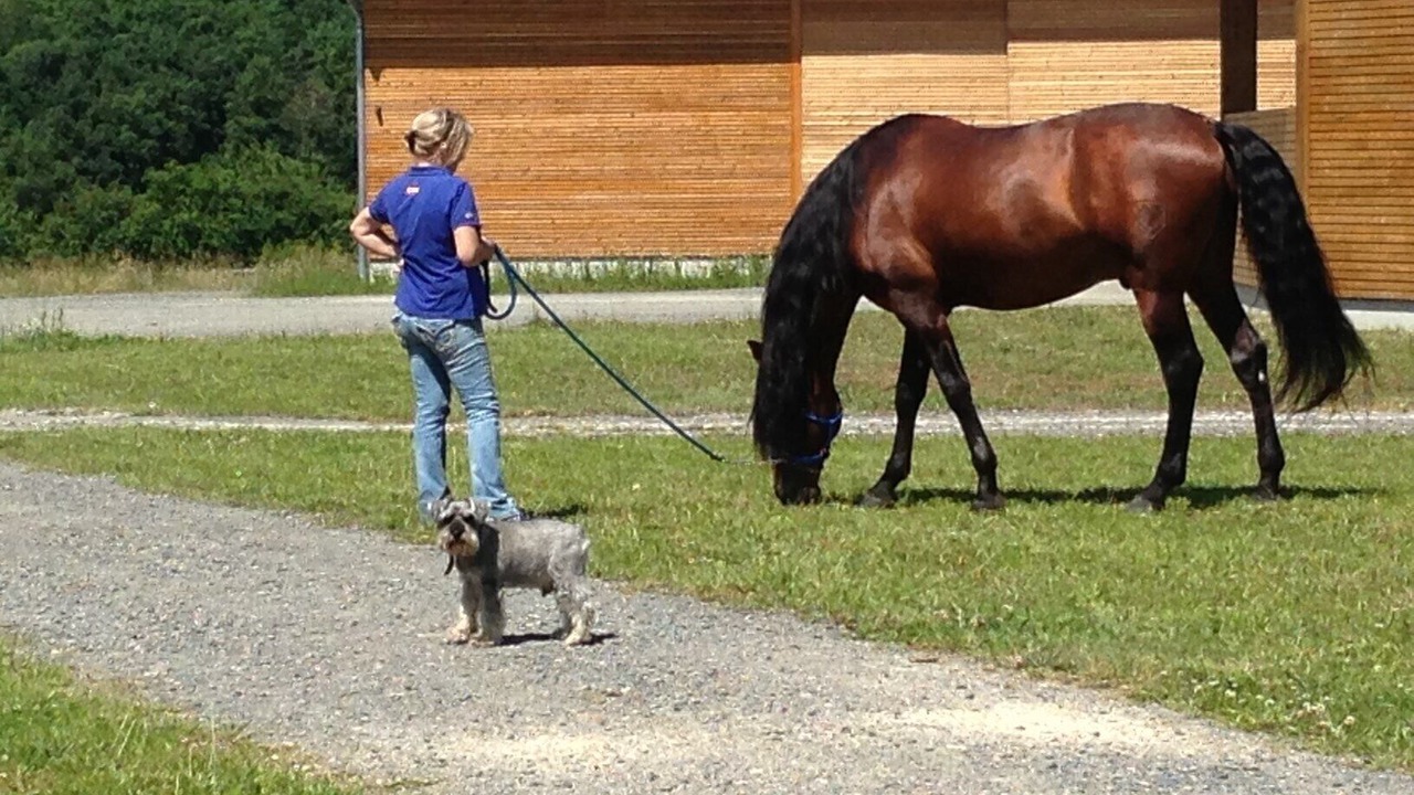 Photo of Outdoor in Saumur