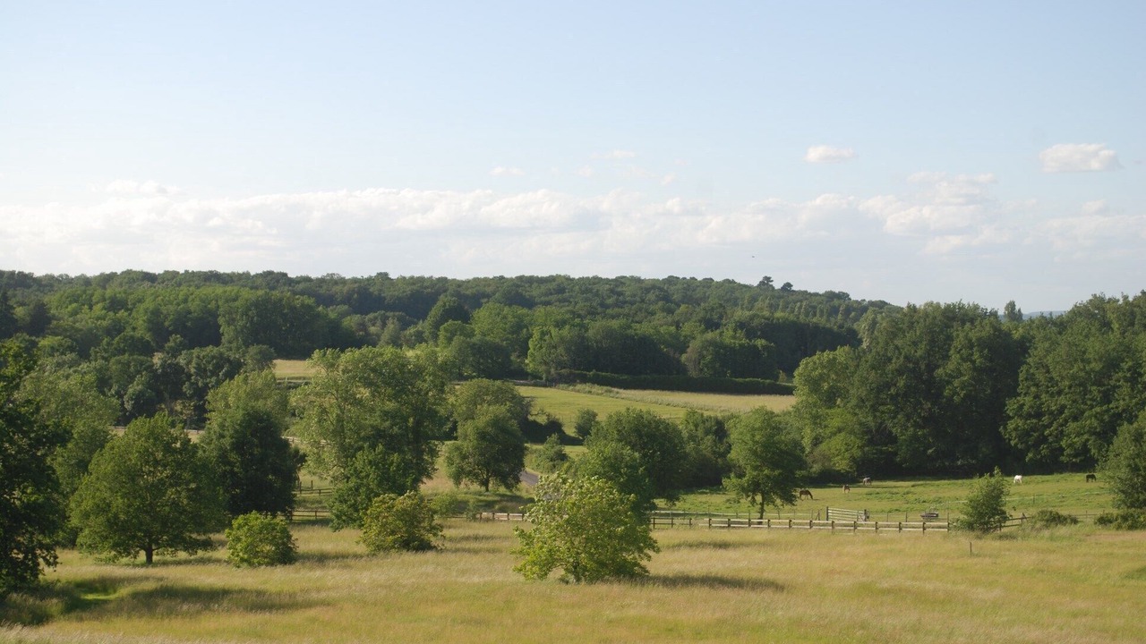 Photo of Others in Saumur