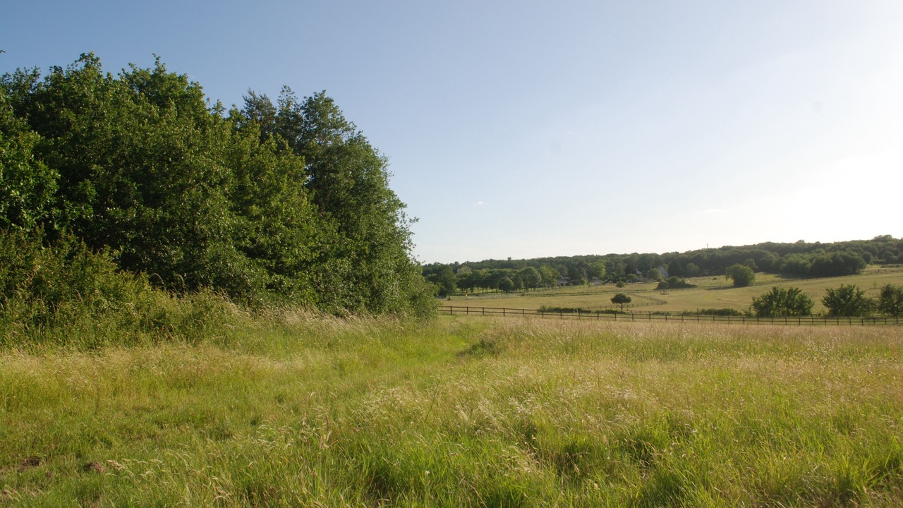 Photo of Outdoor in Saumur