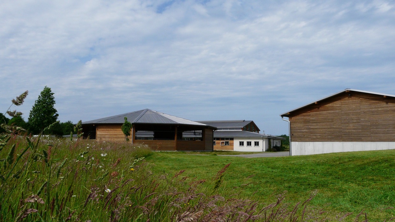 Photo of Outdoor in Saumur